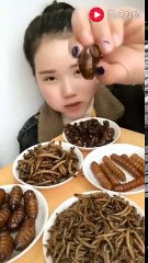 İnsanın İştahını Kabartırcasına Börtü Böcek Yiyen Kadın