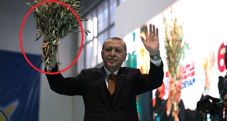 Batmanlılar, Zeytin Dalıyla Karşıladıkları Erdoğan'ın Gönlünü Fethetti