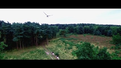 KNIGHTS OF THE DAMNED Bande Annonce VF (2018) Film de Dragons