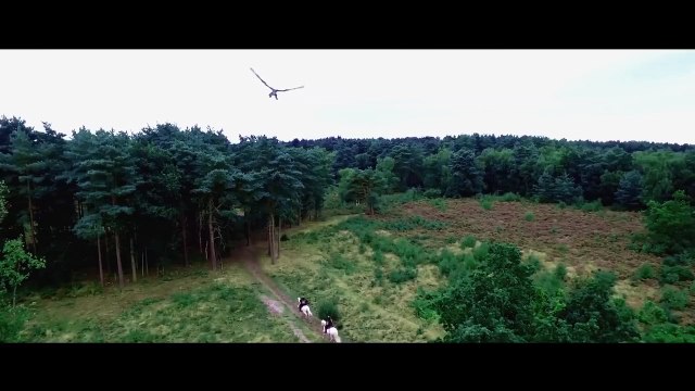 KNIGHTS OF THE DAMNED Bande Annonce VF (2018) Film de Dragons