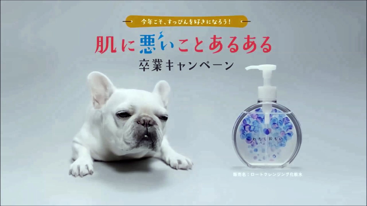 【松山愛里 CM 】ロート製薬  肌に悪いことあるある ①化粧したまま寝ガール+②続きが気になっちゃいガール +③ストレスイライラガール+④冬は日焼け油断しガール    4話