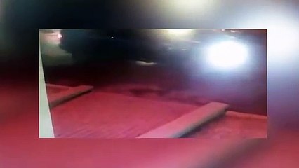 Cuando un ciervo te embiste y nadie te cree