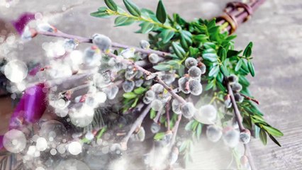 Привітання з Вербною Неділею