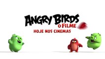 Angry Birds O Filme | Dia dos namorados | Hoje nos cinemas
