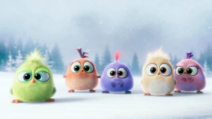 Angry Birds - O Filme | Feliz Natal!