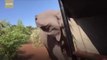 Des touristes en safari se font charger par un éléphant très en colère... Terrifiant