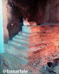 YENİ GELİN 36. BÖLÜM KAMERA ARKASI SET