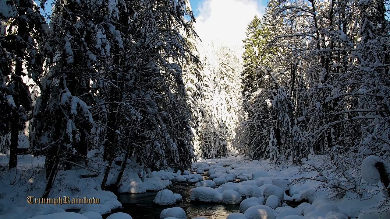 Franklin Falls WA -- Merry Christmas & Happy New Year 4K UHD
