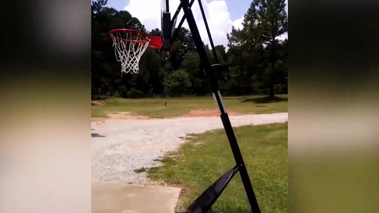 Meteorito cae en su propio jardín