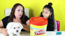 GIANT Play Doh Bucket With TOYS!! Shopkins Barbie Secret Life of Pets Tsum Tsum|B2cutecupcakes