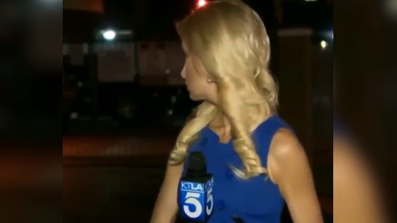 Una cucaracha asusta a  reporterapor distraida