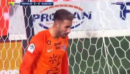 Montpellier 2-1 Angers - les Buts - 03.02.2018