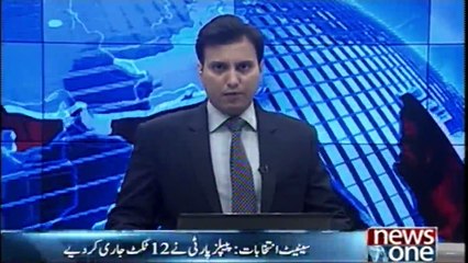 PPP issues party tickets to candidates for   Senate elections