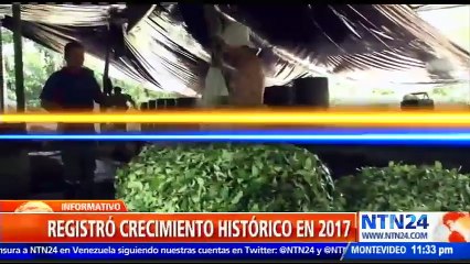 Llegada de Rex Tillerson a Colombia está enfocada en incrementar la lucha contra los cultivos ilícitos en el país