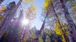 Fall Foliage Episode -1 Trailer | 4K UHD Beautiful Nature Scenery with Music
