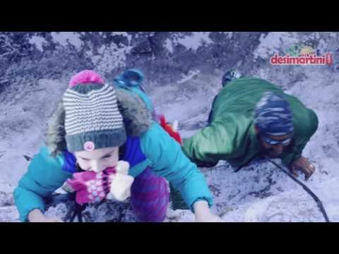 कटिंग रिव्यू : शिवाय !