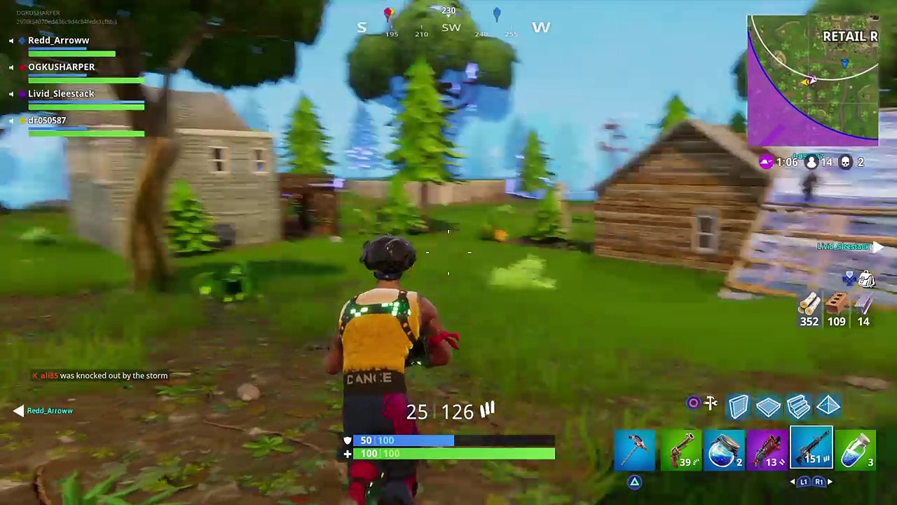Fortnite squad win