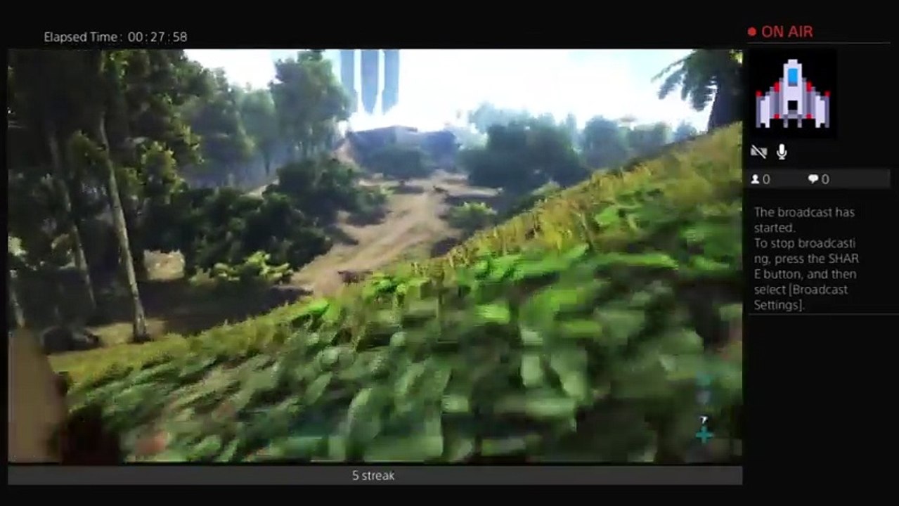 Ark (5)