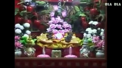 கேமராவில் பதிந்த சில மர்மமான உயிரினங்கள் இவை ஆனால் இவைகளுக்கு விளகக்கம் கொடுப்பவா்கள் யாரும் இல்லை