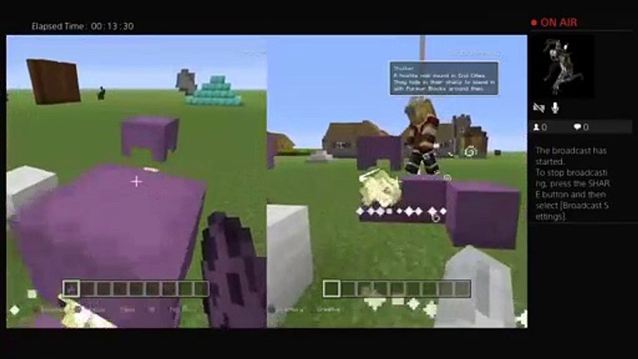 Minecraft (9)