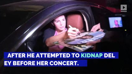 Man Arrested for Attempting to Kidnap Lana Del Rey