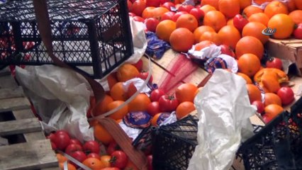 Devrilen tırın şoförü:'Önümüze domuz çıktı'