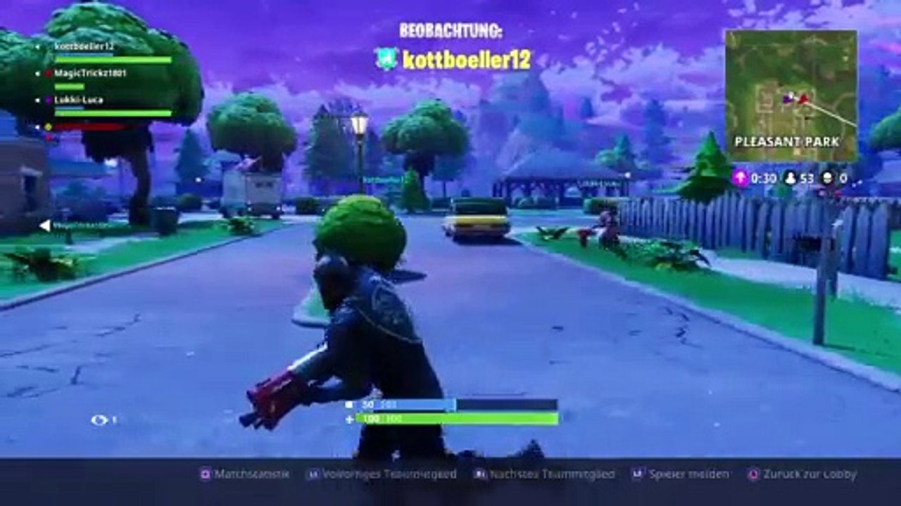 Fortnite (13)