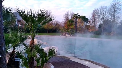 Piscine forme libre