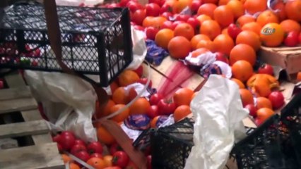 Domuz Sürüsü Sebze Yüklü Tırı Devirdi