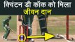 India vs South Africa 2nd ODI : Ball hits stumps, Quinton stays not out | वनइंडिया हिंदी