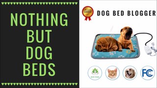 Dog Bed Blogger - Best Dog Beds