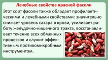 Фасоль при сахарном диабете. Рецепты блюд из фасоли для диабетиков