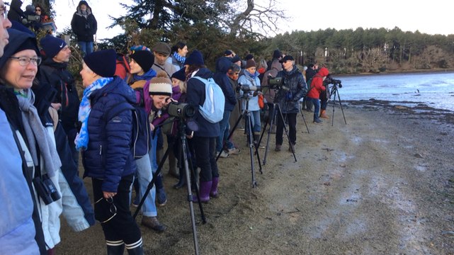 Balade ornithologique de Bretagne vivante (Anaïs Couprie) au Hénan, sur la rive de l'Aven