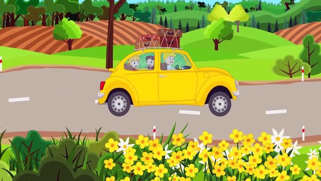 Kosi kosi apci - Muzyka Która Bawi i Rozwija - Piosenki dla dzieci