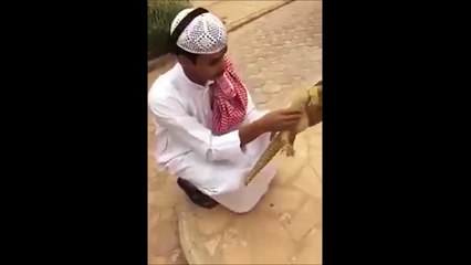 Il pense s'amuser avec la dépouille d'un lézard... Peur de sa vie!