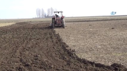 Muş'ta Çiftçiler Şubat Ayında Buğday Ekti