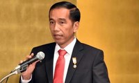 Jokowi: Saya Akan Kirim BEM UI ke Asmat