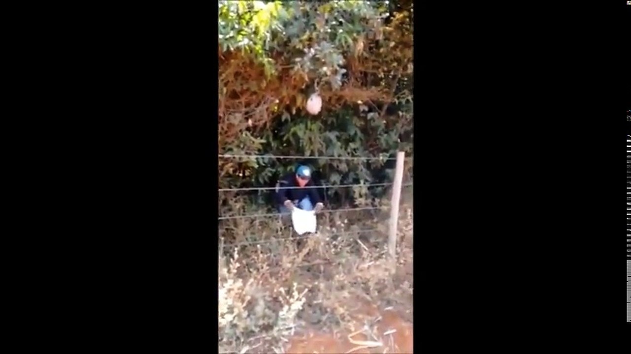 MOST FUNNY VIDEO COMPILATION