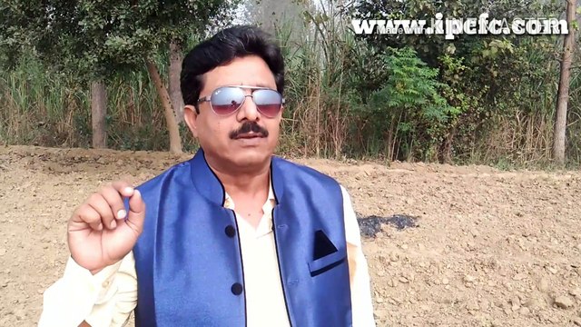 Rodent control | Pest Control service | rat control | Termite control | Indian Pest Control | Bedbug Control | Pest Control Delhi NCR | Pest Control Noida U. P. | Pest Control Haryana