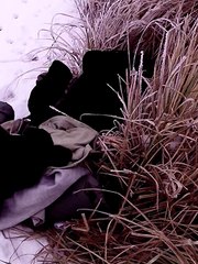 Jumping into a Frozen River to Save a Dog