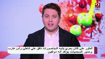 ظهور كائن بحري شبيه بالديناصورات