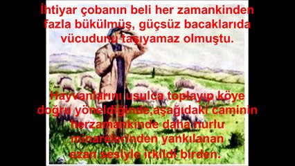 Yaşlı Çoban ve Elma Ağacı