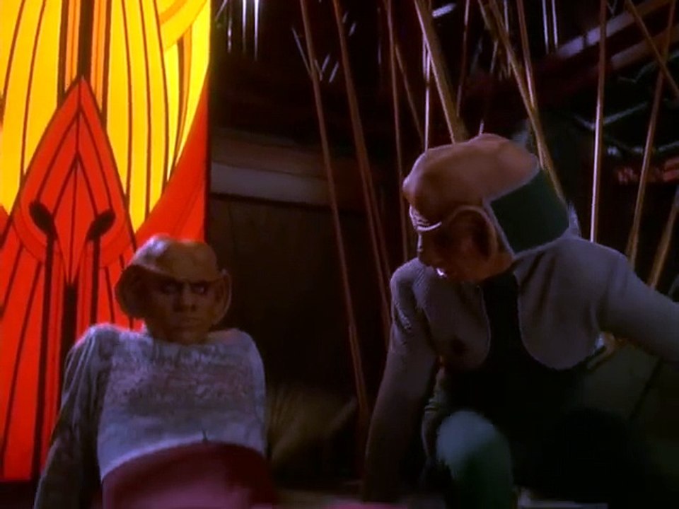 Quark Has Many Friends