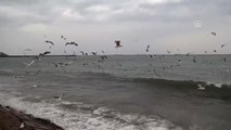 Marmara Denizi'nde Ulaşıma Lodos Engeli - Tekirdağ