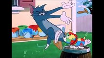 My-Cartoon For Kids Tom And Jerry English Ep. -  Slicked-up Pup  - Cartoons For Kids Tv