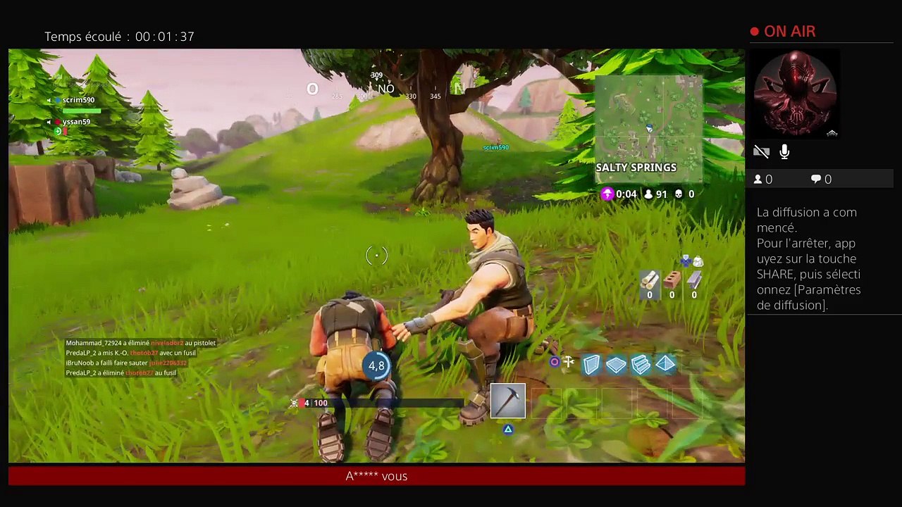 Fortnite (2)