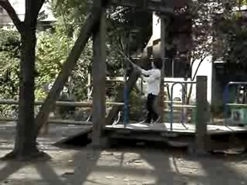 Pique Nique