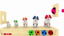 Learn Colors With Xylophone Hammer Dogs Elephant Animals Soccer Balls for Kids