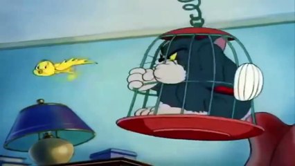 My-Cartoon For Kids Tom And Jerry English Ep. - ???? - Cartoons For Kids Tv