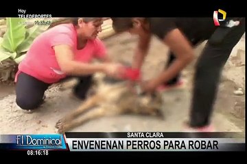Santa Clara: envenenan a perros para asaltar almacén de maquinaria pesada
